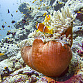 Podvodný fotoaparát Scubapro SeaLife MICRO 3.0 64 GB
