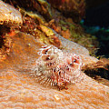 Podvodný fotoaparát Scubapro SeaLife MICRO 3.0 64 GB