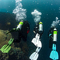 Plutvy Scubapro SEAWING NOVA